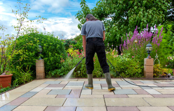 Best Post-Construction Pressure Washing  in Paw Paw Lake, MI